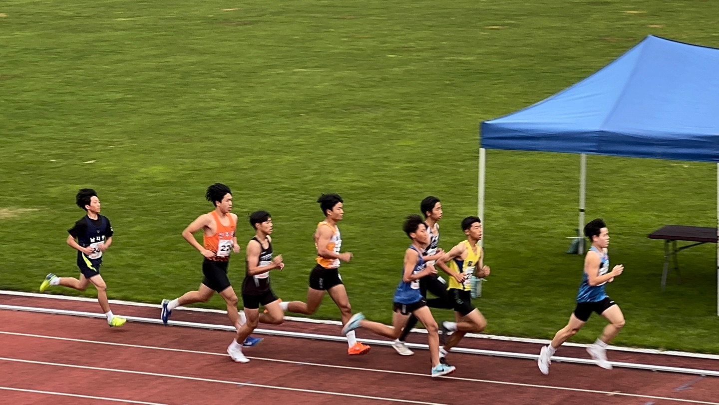 777c4c931c3228990a89e16762258d55_1732166327_9784.jpg